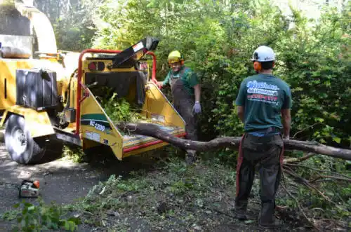 tree services Yucca Valley